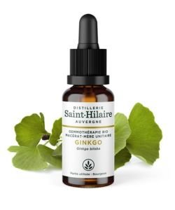 MACERAT DE GINKGO BIO 30 ML BIO, 30 ml